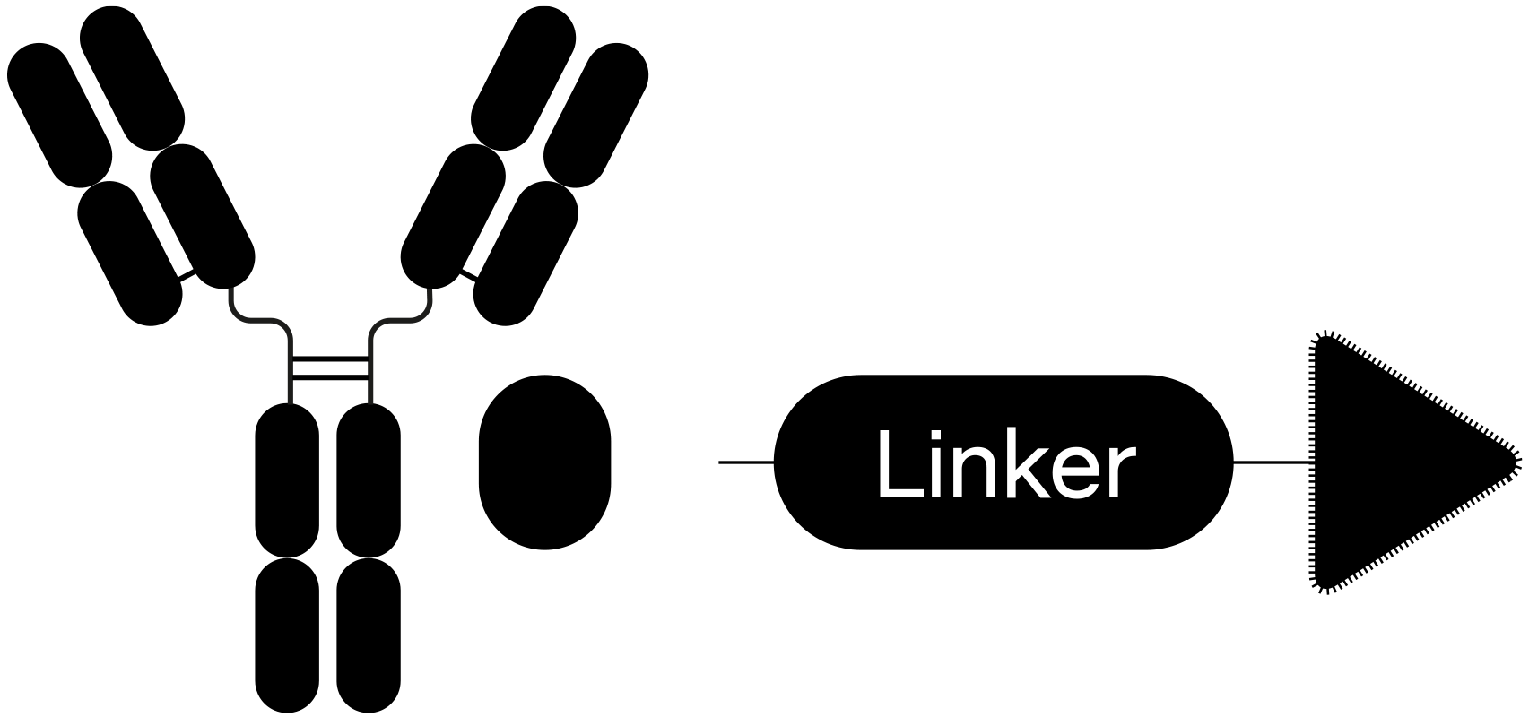 Antibody conjugates: antibody against surface protein amplified on ecDNA, with linker to ecDNA-specific targets